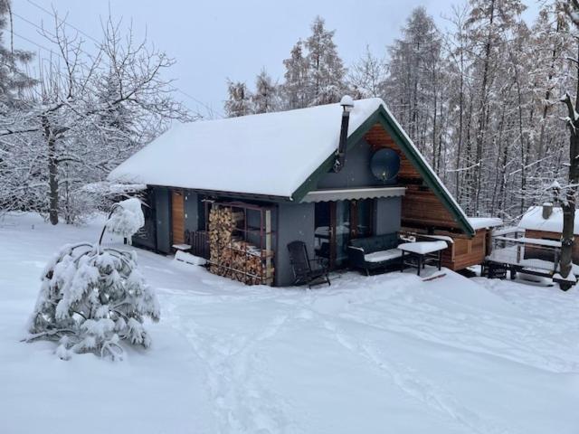 Wyspadrzewodomek Kamionna  Exteriör bild